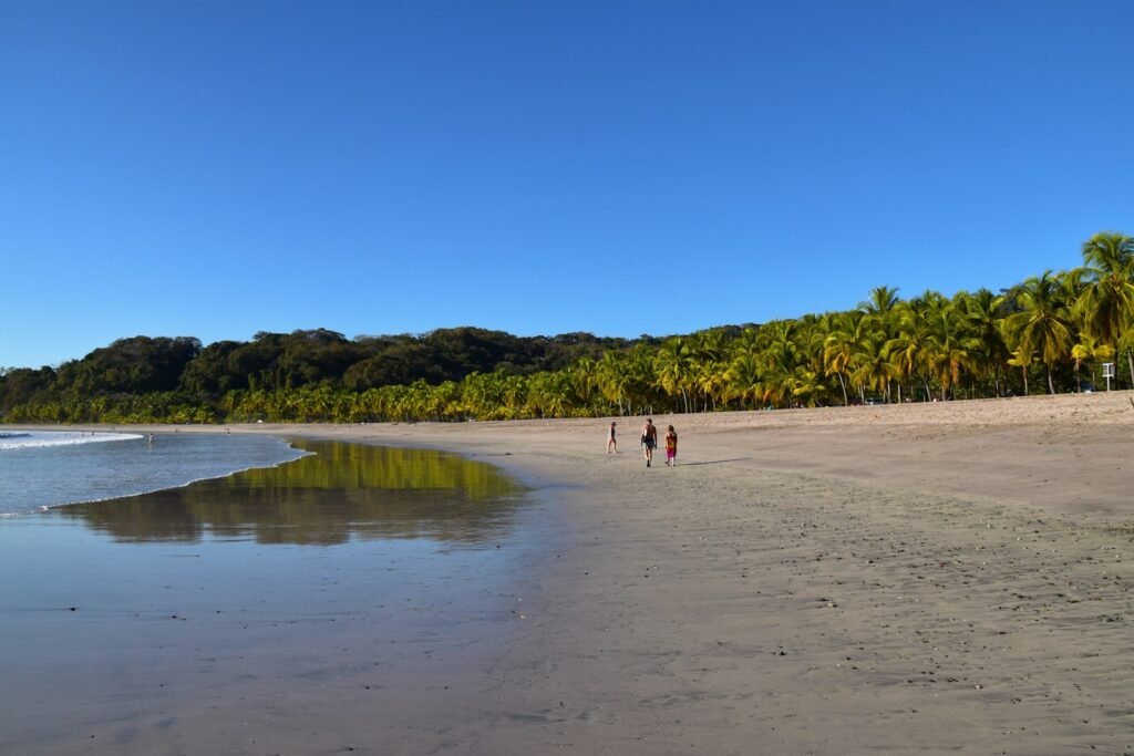 a couple of people walking along a sandy beach